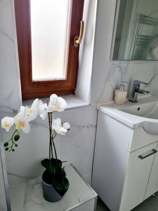Cozy Apartment Near City Center บูคาเรสต์ ภายนอก รูปภาพ